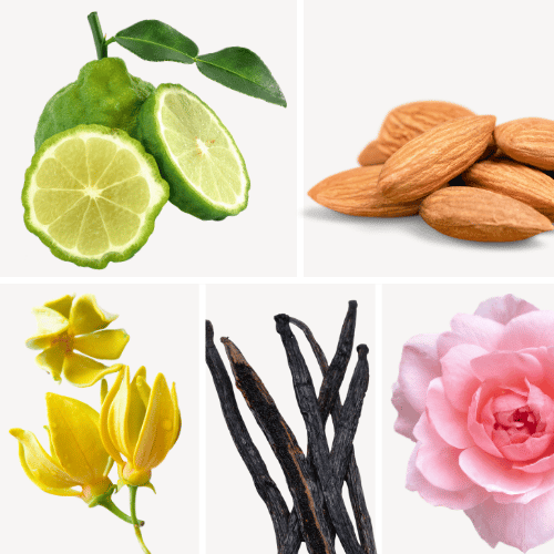 Preview: Duftnoten: Bergamotte, Bittermandel,  Ylang-Ylang, Vanille, Pfingsrose