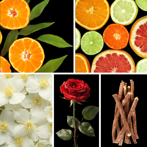 Preview: Duftnoten: Mandarine, Zitrusfrüchte, Rose, Jasmin, Vanille