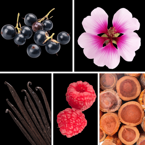 Preview: Duftnoten des Profumo D’oro Unisex-Parfums mit schwarzer Johannisbeere, Himbeere, Birne, Rose, Geranie, Zedernholz, Vanille, Moschus und Amyris