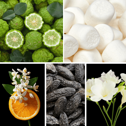 Preview: Duftnoten: Bergamoitte, Marshmallow, Orangenblüte, Tonkabohne, Freesie