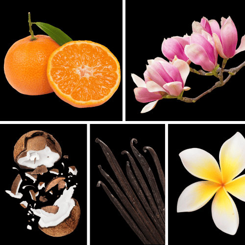 Preview: Duftnoten: Mandarine, Kokos, Vanille, Frangipani, Magnolie