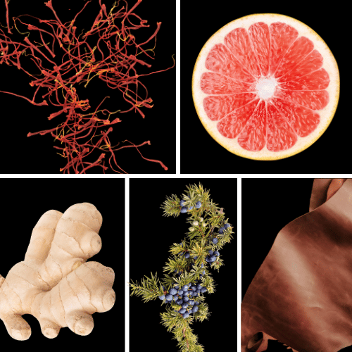 Preview: Duftnoten: Ingwer, Safran, Blutorange, Leder, Wacholderbeeren
