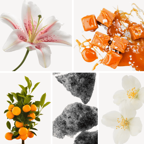 Preview: Profumo D'oro N° 176 Lilie Baiser Bergamotte Preview: Duftnoten: Lilie, Salzkaramell, Mandarine, Moschus, Jasmin
