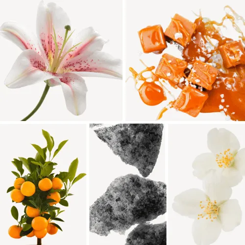 Duftnoten: Lilie, Salzkaramell, Mandarine, Moschus, Jasmin