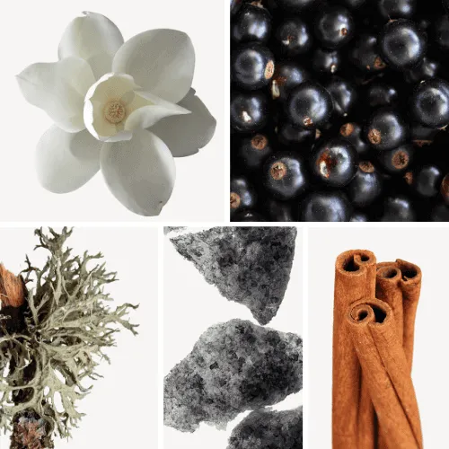 Duftnoten: Magnolie, Vassis, Eichenmoos, Moschus, Zimt