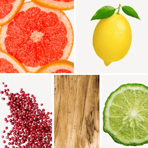 Duftnoten: Grapefruit, Zitrone, rosa Pfeffer, Sandelholz, Bergamotte