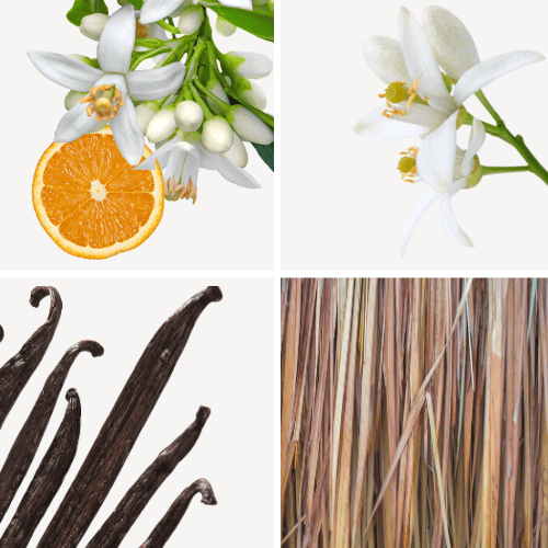 Duftnoten: Orangenblüte, Neroli, Vanille, Vetiver
