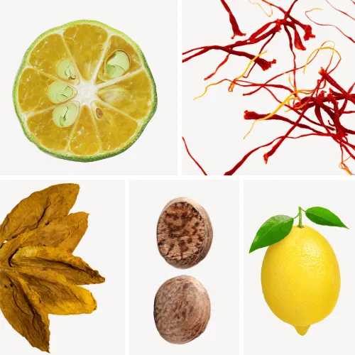 Duftnoten: Yuzu, Safran, Tabak, Muskat, Zitrone