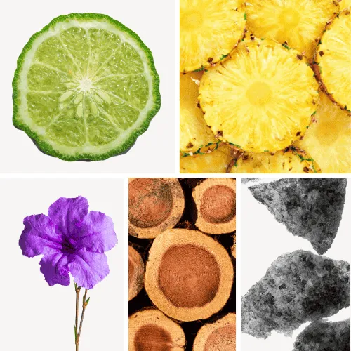 Duftnoten: Bergamotte, Ananas, Veilchen, Zedernholz, Moschus