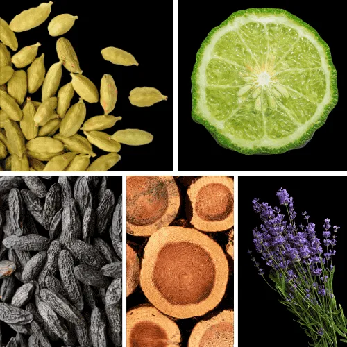 Duftnoten: Kardamom, Bergamotte, Tonkabohne, Zedernholz, Lavendel Duftnoten: Kardamom, Bergamotte, Tonkabohne, Zedernholz, Lavendel