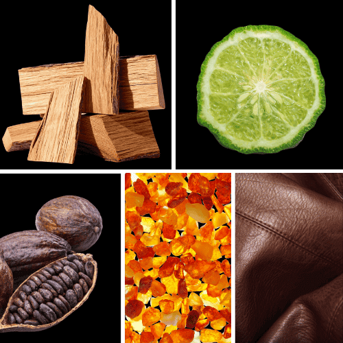 Preview: Duftnoten: Zedernholz, Bergamotte, Kakaobohne, Amber, Leder