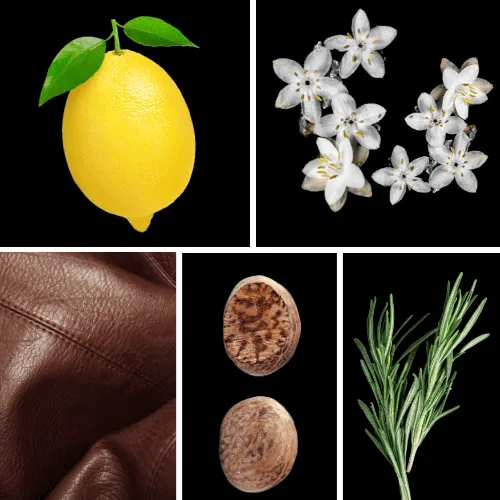 Duftnoten: Zitrone, Styrax, Leder, Muskat, Rosmarin Duftnoten: Zitrone, Styrax, Leder, Muskat, Rosmarin