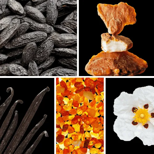 Duftnoten: Tonakbohne, Benzoeharz, Vanille, Amber, Labdanum