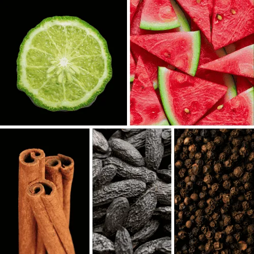 Duftnoten: Bergamotte, Wassermelone, Zimt, Tonkabohne, Pfeffer Duftnoten: Bergamotte, Wassermelone, Zimt, Tonkabohne, Pfeffer