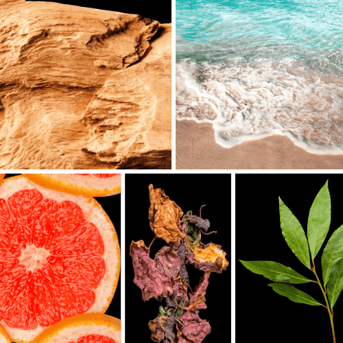 Preview: Duftnoten: Guajakholz, maritime Akkorde, Grapefruit, Patschuli, Lorbeerblatt