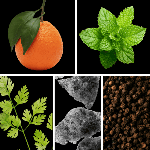 Preview: Duftnoten: Mandarine, Minze, Koriander, Moschus, Pfeffer