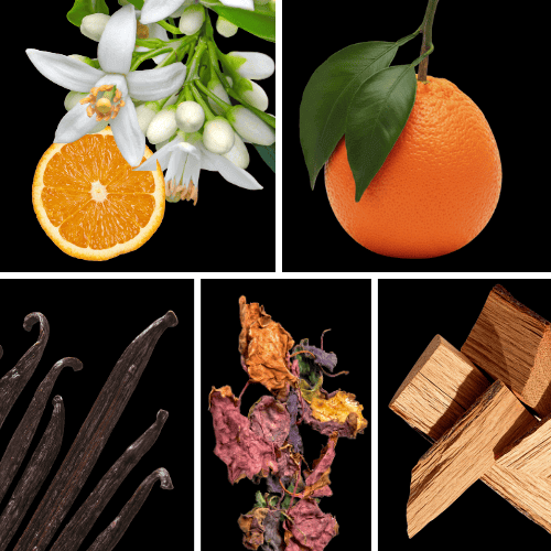 Preview: Duftnoten: Orangenblüte, Mandarine, Vanille, Patchouli, Sandelholz