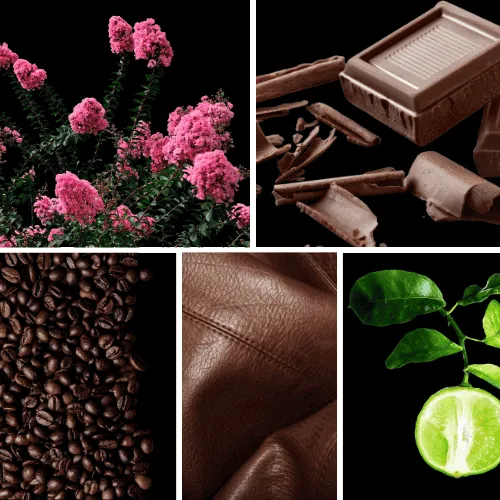 Duftnoten: Myrte, Schokolade, Kaffee, Leder, Bergamotte