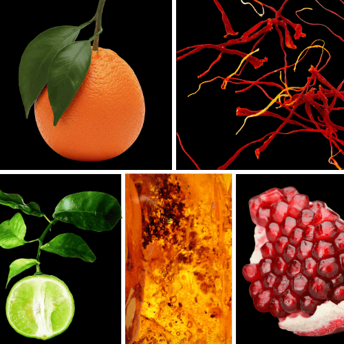 Preview: Duftnoten: Mandarine, Safran, Bergamotte, Amber, Granatapfel