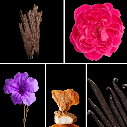 Duftnoten: Damaszener Rose, Oud, Vielchen, Benzoe, Vanille