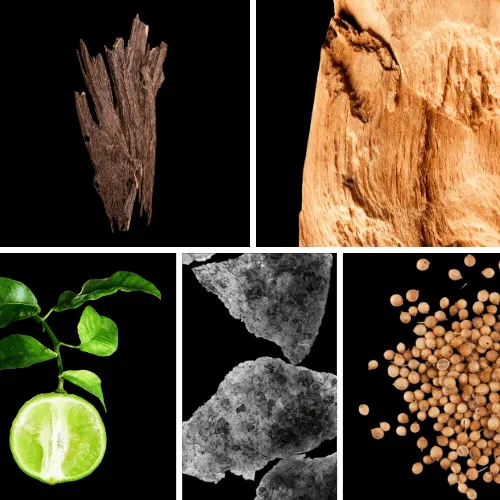 Duftnoten: Oud, Sandelholz, Bergamotte, Moschus, Koriander Duftnoten: Oud, Sandelholz, Bergamotte, Moschus, Koriander