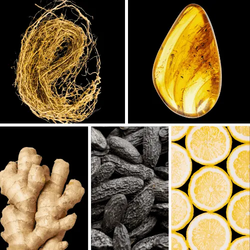 Duftnoten: Vetiver, Bernstein, Ingwer, Tonkabohne, Zitrone