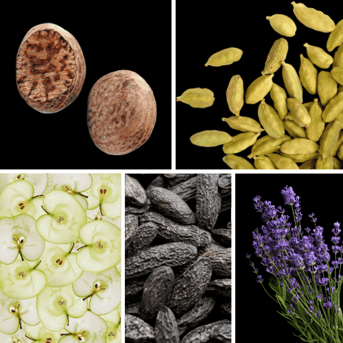 Preview: Duftnoten: Muskat, Kardamom, Apfel, Tonkabohne, Lavendel