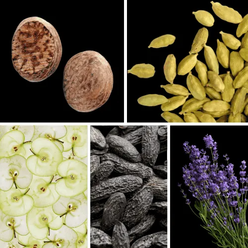 Duftnoten: Muskat, Kardamom, Apfel, Tonkabohne, Lavendel Duftnoten: Muskat, Kardamom, Apfel, Tonkabohne, Lavendel