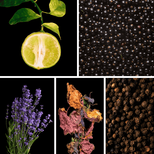 Preview: Duftnoten: Bergamotte, Wacholder, Lavendel, Patchouli, schwarzer Pfeffer