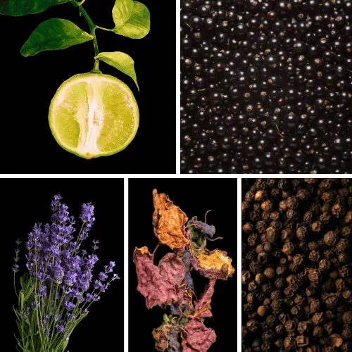 Duftnoten: Bergamotte, Wacholder, Lavendel, Patchouli, schwarzer Pfeffer