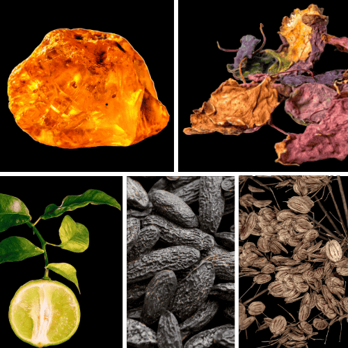 Preview: Duftnoten: Amber, Patchouli, Bergamotte, Tonkabohne, Engelwurz