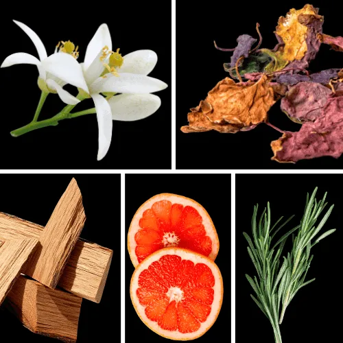 Duftnoten: Neroli, Patchouli, Sandelholz, Bitterorange, Rosmarin Duftnoten: Neroli, Patchouli, Sandelholz, Bitterorange, Rosmarin