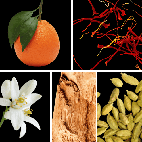 Preview: Duftnoten: Mandarine, Safran, Neroli, Sandelholz, Kardamom