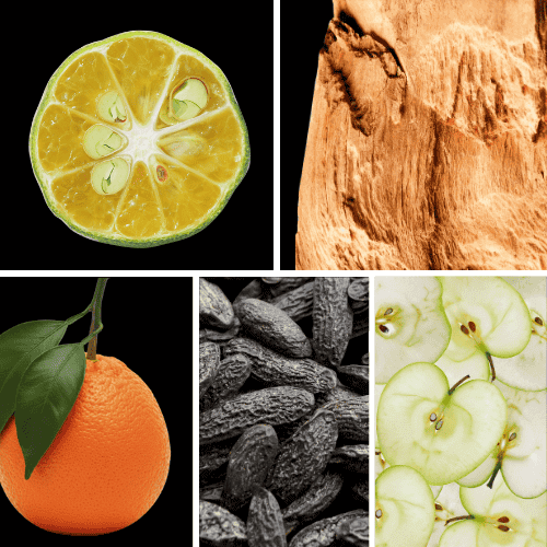 Preview: Duftnoten: Yuzu, Sandelholz, Mandarine, Tonkabohne, Apfel