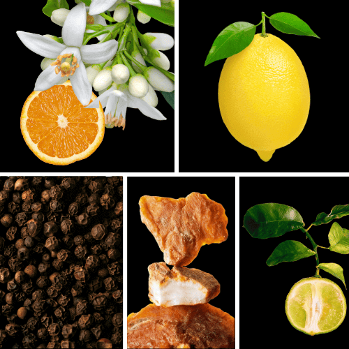 Preview: Duftnoten: Orangenblüte, Zitrone, schwarzer Pfeffer, Benzoe, Bergamotte