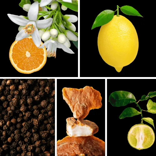 Duftnoten: Orangenblüte, Zitrone, schwarzer Pfeffer, Benzoe, Bergamotte Duftnoten: Orangenblüte, Zitrone, schwarzer Pfeffer, Benzoe, Bergamotte