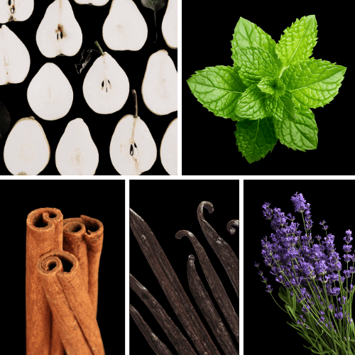 Preview: Duftnoten: Birne, Minze, Zimt, Vanille, Lavendel