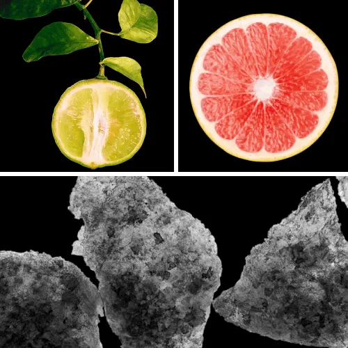 Duftnoten: kalabrische Bergamotte, Grapefruitblüte, weißer Moschus