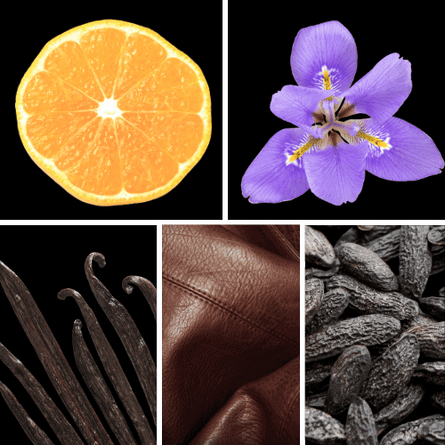 Preview: Duftnoten: Mandarine, Iris, Vanille, Leder, Tonkabohne