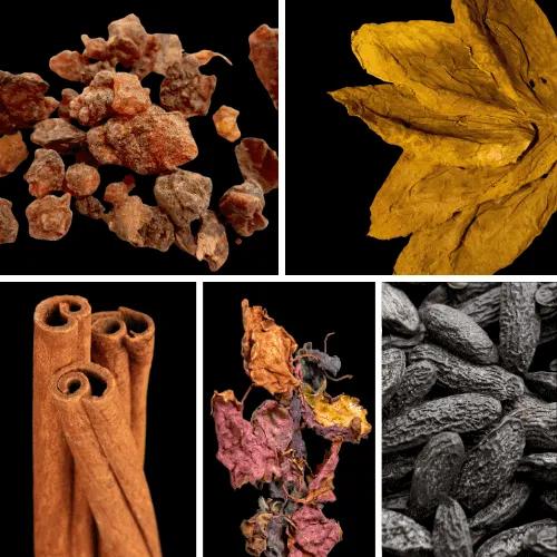 Duftnoten: Myrrhe, Tabak, Zimt, Patchouli, Tonkabohne