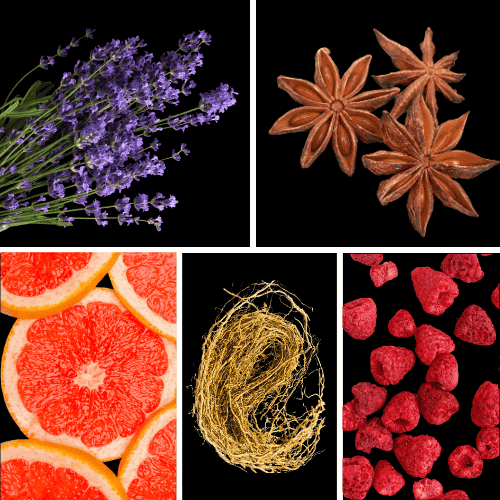 Preview: Duftnoten: Lavendel, Anis, Grapefruit, Vetiver, Himbeere