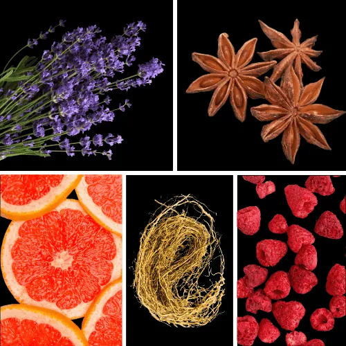 Duftnoten: Lavendel, Anis, Grapefruit, Vetiver, Himbeere Duftnoten: Lavendel, Anis, Grapefruit, Vetiver, Himbeere