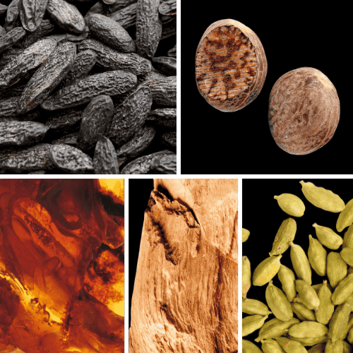 Preview: Duftnoten: Tonkabohne, Muskat, Amber, Sandelholz, Kardamom