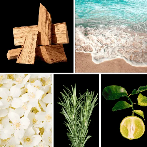 Duftnoten: Zedernholz, aquatische Noten, Jasmin, Rosmarin, Bergamotte