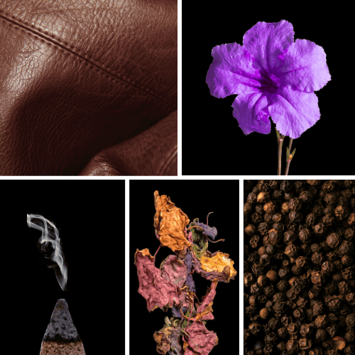 Duftnoten: Leder, Veilchen, Weihrauch, Patchouli, schwarzer Pfeffer