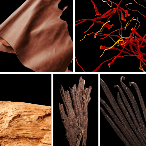 Preview: Duftnoten: Leder, Safran, Gujakholz, Oud, Vanille