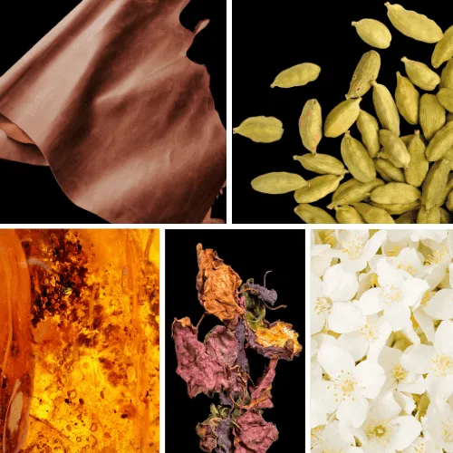 Duftnoten: Leder, Kardamom, Amber, Patchouli, Jasmin