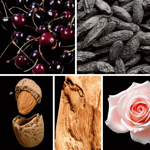 Duftnoten: schwarze Kirsche, Tonkabohne, Bittermandel, Sandelholz, türkische Rose
