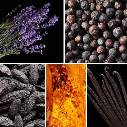 Profumo D’oro #121 – Duftnoten des Herren Eau de Parfum mit Vanille, Tonkabohne, Amber und würzigen Noten