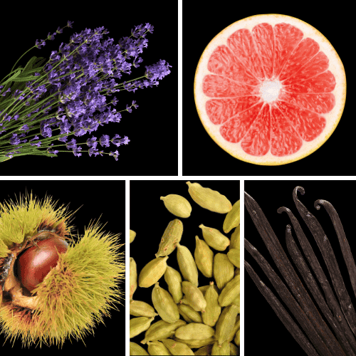 Preview: Duftnoten: Lavendel, Kastanie, Kardamom, Vanille